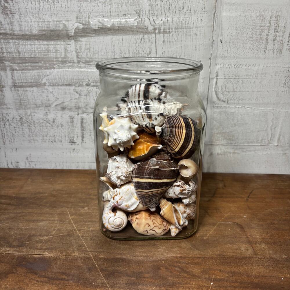 Large Glass Jar Filled with Assorted Seashells